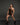 Exposed/Open Back Trunk Bodysuit/ Black