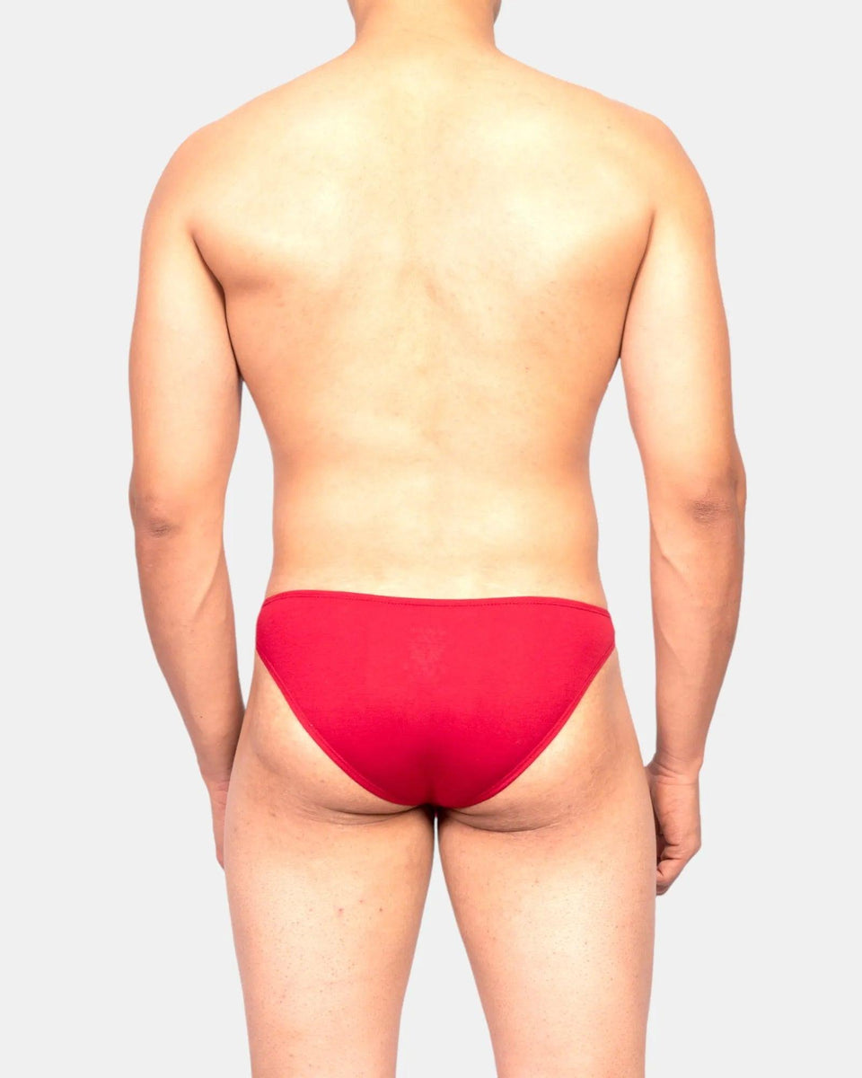 Grab Elastic Brief, crimson red, photo 3