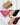 Hold Me Briefs Combo Pack Of 6 / Black, Tan, Ibis Rose, Skin, White & Deep Burgundy