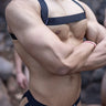 Dominion Harness - Chest X, photo 1