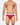Gentleman's Brief /Maroon Modal