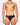Parrot Cage Brief /Black