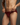 The Hold Me Brief /Deep Burgundy