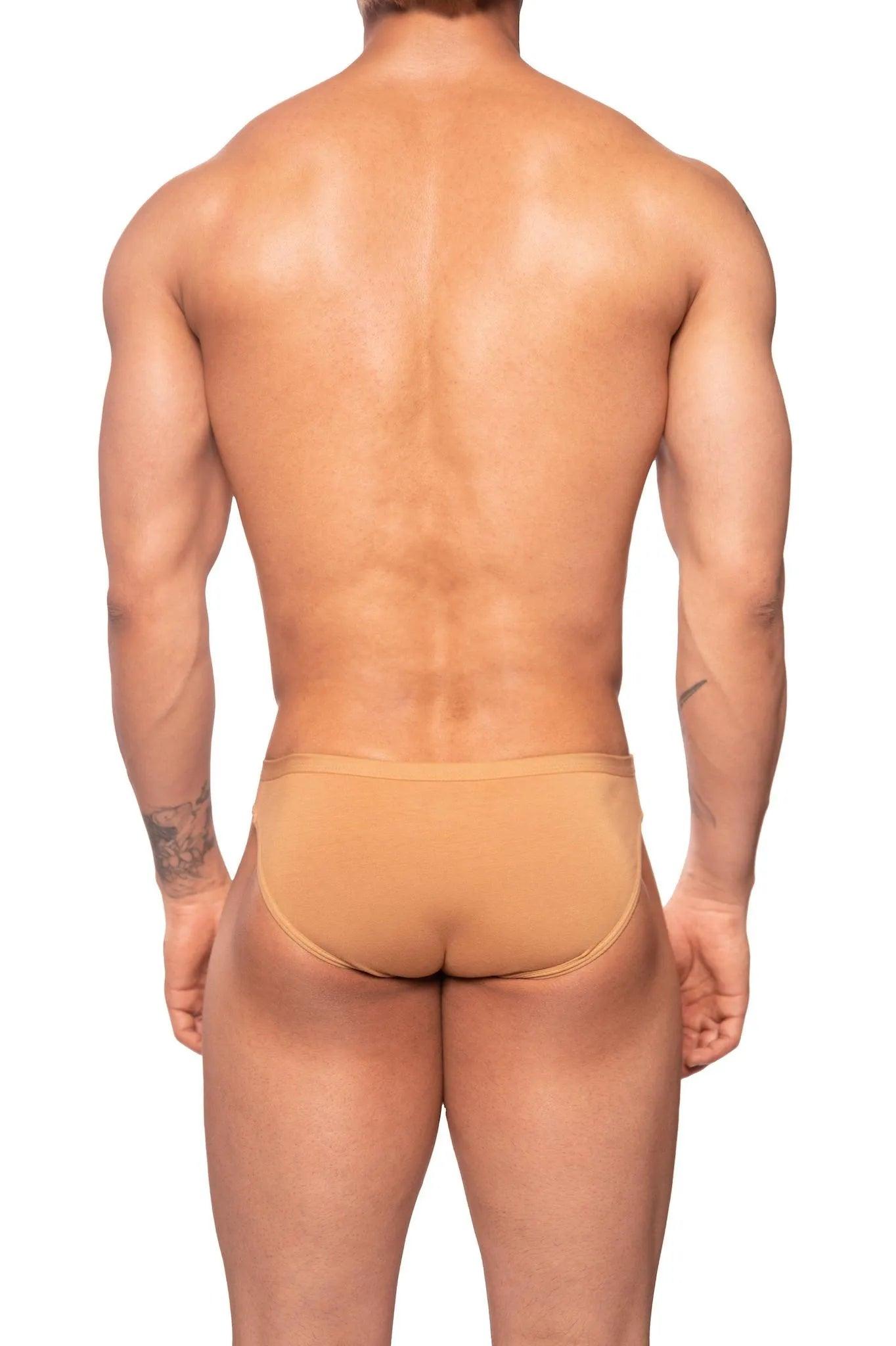 See-Through Mesh Cotton Brief - Tan - Erobold - 