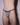 Zebra thong 360 degree view